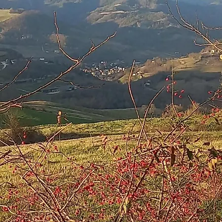 بيت ضيافة Raggio Campacci Di Sacchetti Vanessa سانتا صوفيا