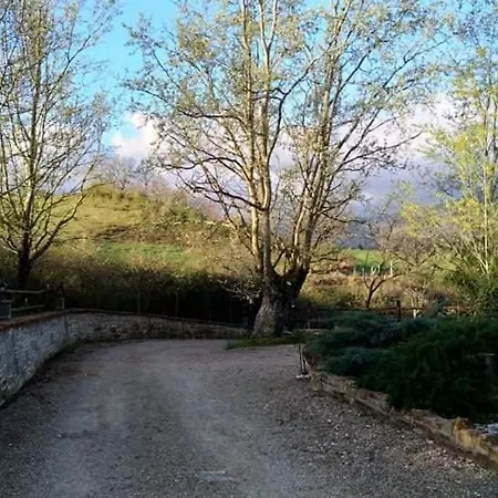 Raggio Campacci Di Sacchetti Vanessa * Santa Sofia