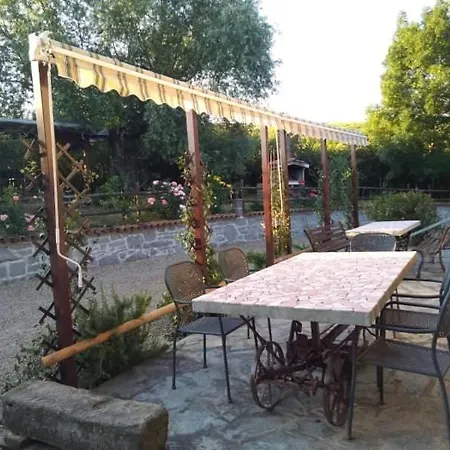 Raggio Campacci Di Sacchetti Vanessa