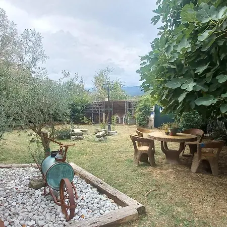 Raggio Campacci Di Sacchetti Vanessa * 圣索菲亚