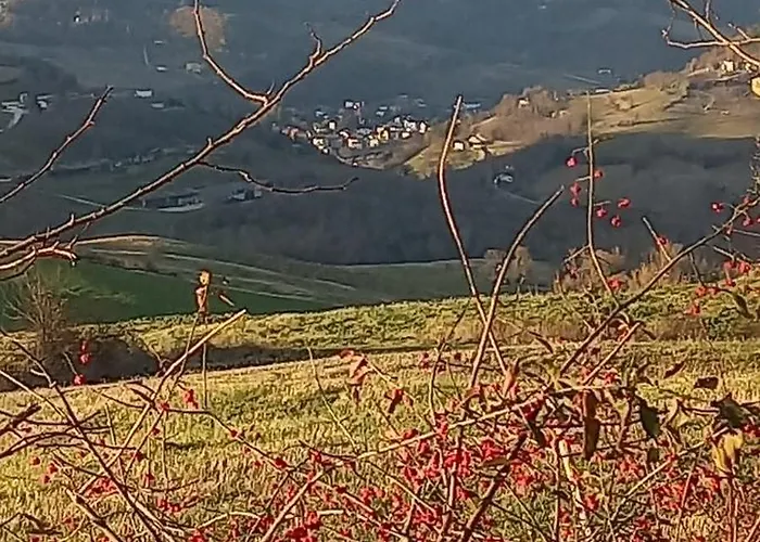 בית הארחה Raggio Campacci Di Sacchetti Vanessa סנטה סופיה