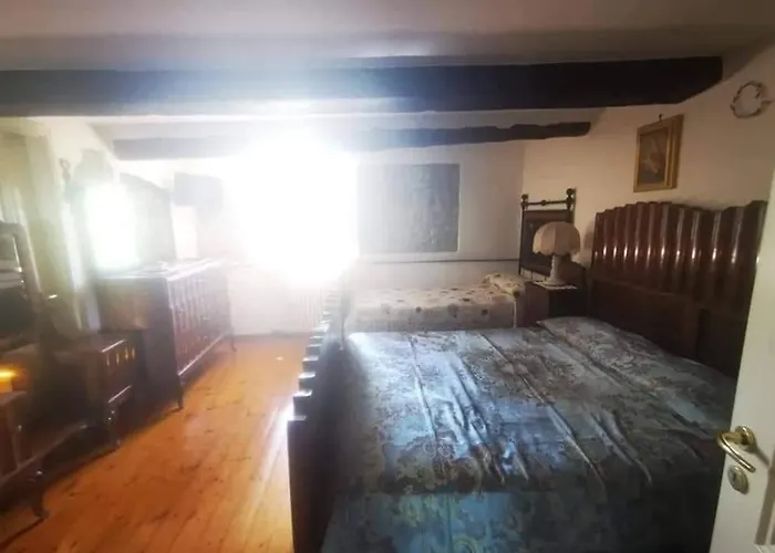 Raggio Campacci Di Sacchetti Vanessa