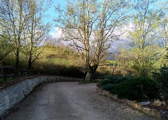 Raggio Campacci Di Sacchetti Vanessa * סנטה סופיה