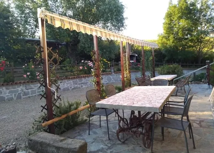 Raggio Campacci Di Sacchetti Vanessa